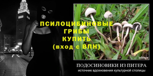 спиды Козельск