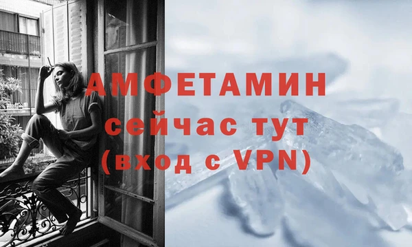 ГАЛЛЮЦИНОГЕННЫЕ ГРИБЫ Коряжма